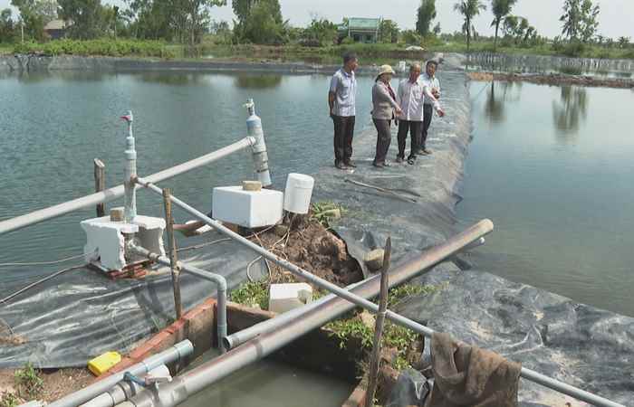 Kiểm soát bệnh ký sinh trùng trên tôm nước lợ (06-06-2023)